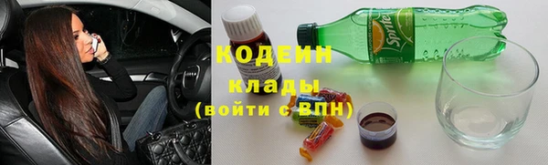 ГАЛЛЮЦИНОГЕННЫЕ ГРИБЫ Абаза