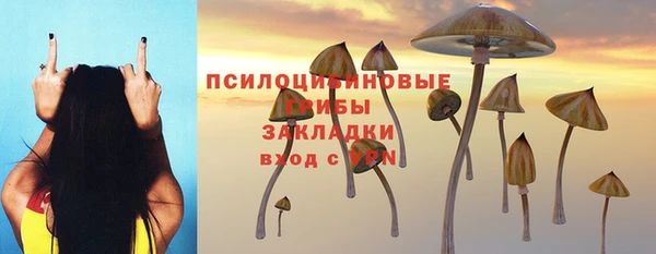 ГАЛЛЮЦИНОГЕННЫЕ ГРИБЫ Абаза