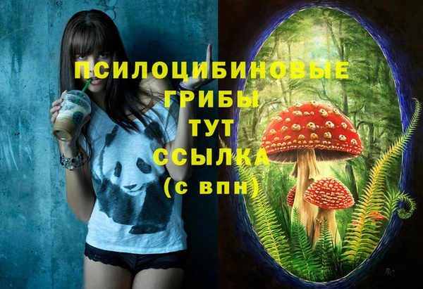 ALPHA-PVP Абинск